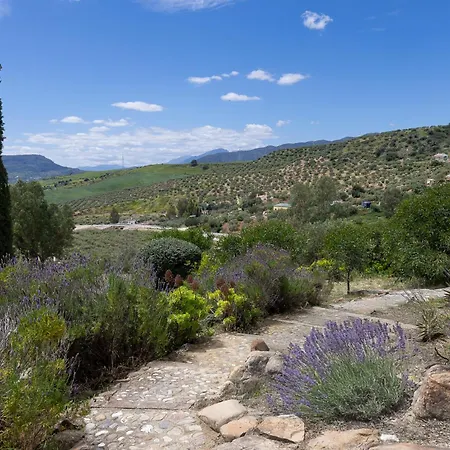 Bed & Breakfast Boutique Cortijo Valverde 4*