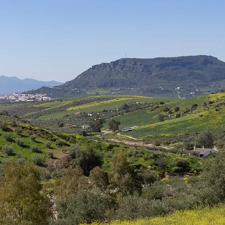 Boutique Cortijo Valverde Oda ve Kahvaltı 4*