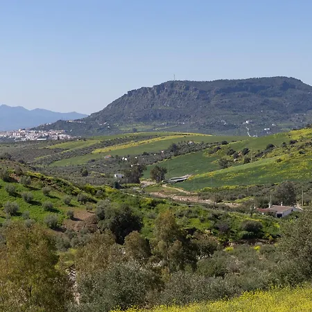 Boutique Cortijo Valverde Bed & Breakfast *