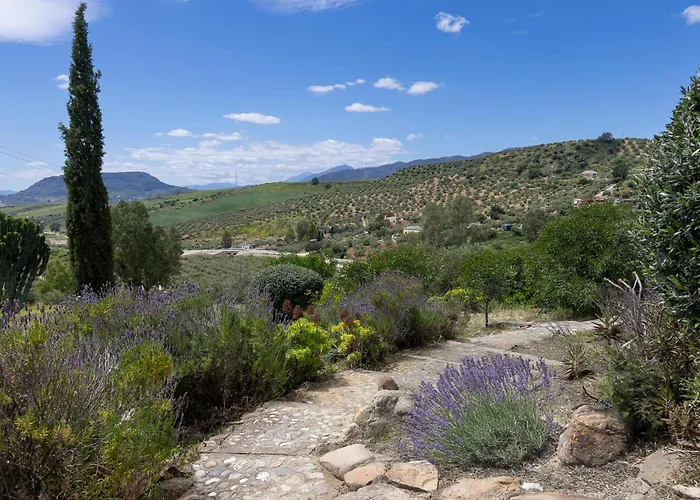 Bed & Breakfast Boutique Cortijo Valverde 4*